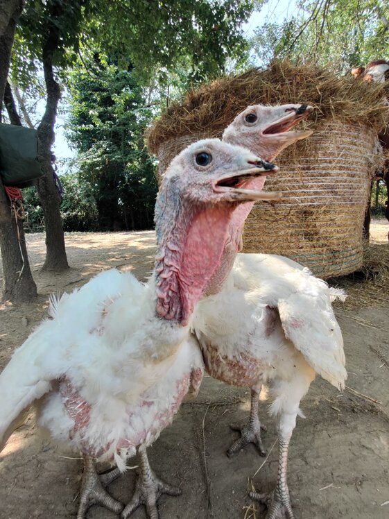 133afa23-c584-4572-8af6-c696cf1ef1f5