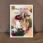 ritratto-con-cornice-degli-abitanti-del-rifugio