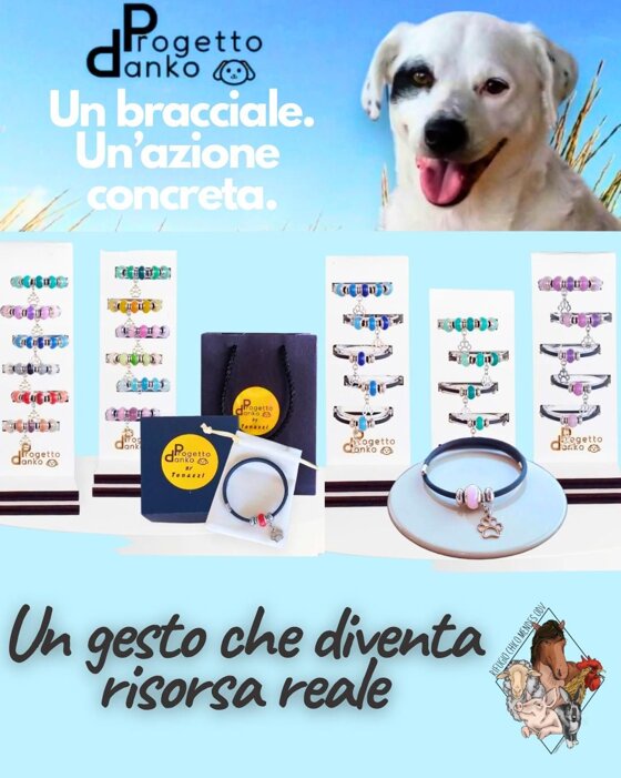 e8add42a-5963-4a47-be3e-6b5cedf0fe9c