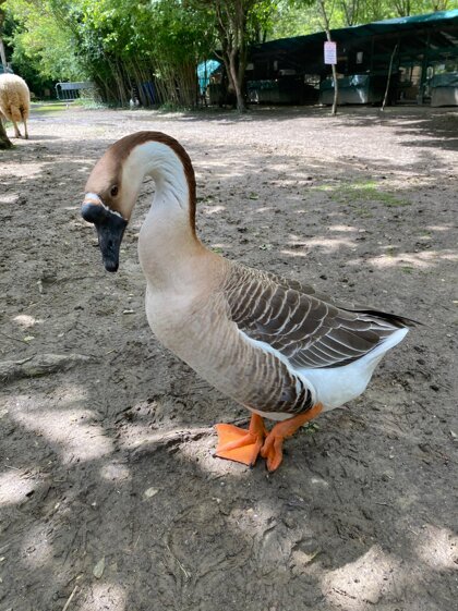 58dee3b5-51d4-4617-8e32-73ab7f788368