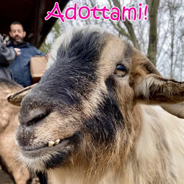 94bca900-ed43-46b5-bbad-c4d3c0540bb5