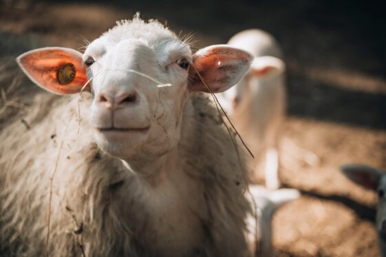 3874e991-0a26-43cd-ae09-c4451d23e4c5