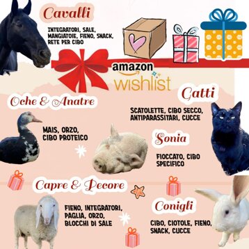 35ae0aac-0cc3-4cf4-b435-d064ad9f00c3