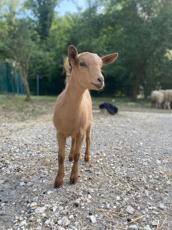 36a3c530-3596-4326-88ce-100d2a3351da