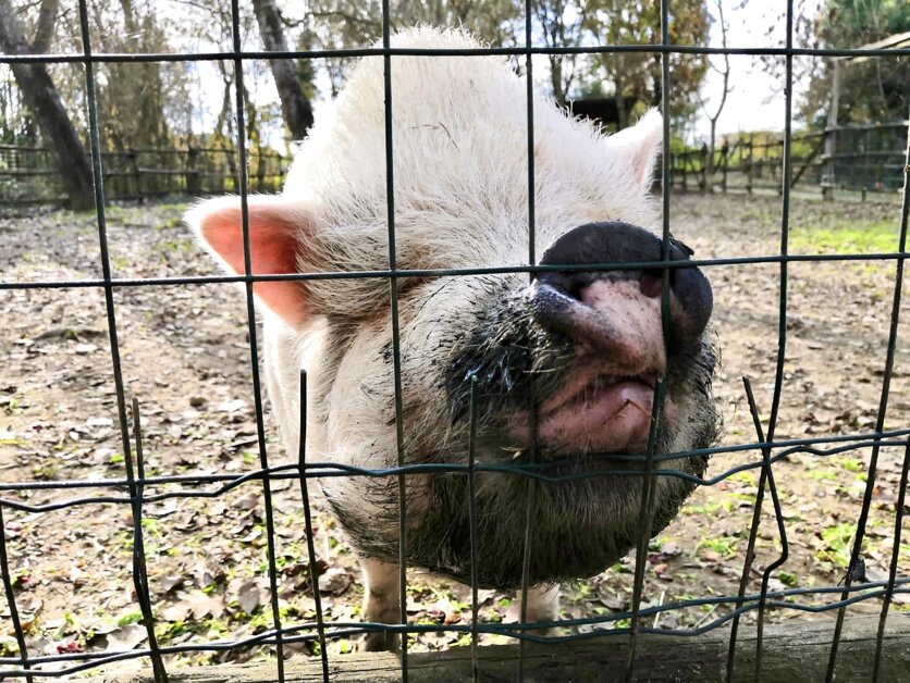 e074710e-9457-4c77-888f-5bc102308b9d.jpeg e074710e-9457-4c77-888f-5bc102308b9d.jpeg