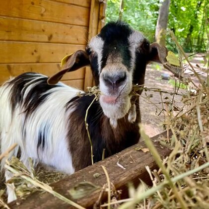 8212eb28-8457-41c1-9561-ff2941422a2a