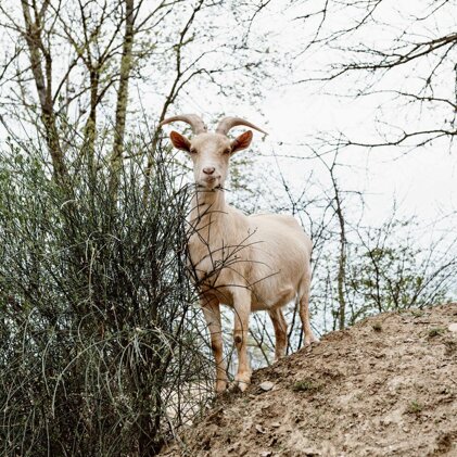 78b96c14-ddb6-4dc1-9f61-37b693301ee6