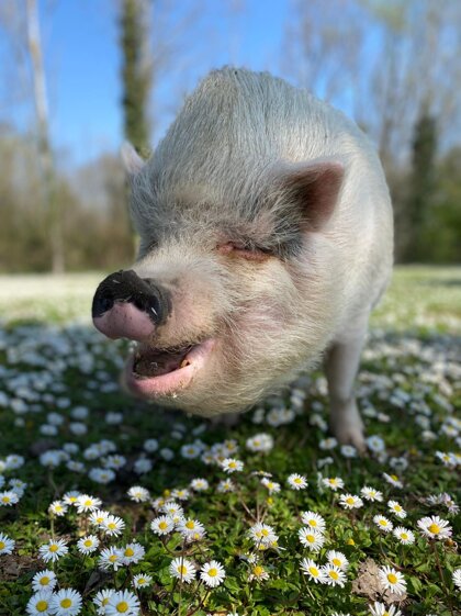 11e4d620-d401-472a-ad09-ddf4c6b5f5c6