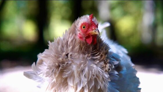 4954d497-65ae-41a0-b3e9-1ef5790be27a