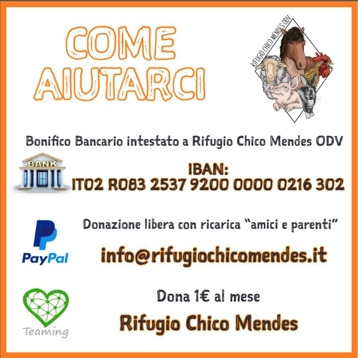 03283a3d-fe24-4532-9299-1aab8cc8edcf