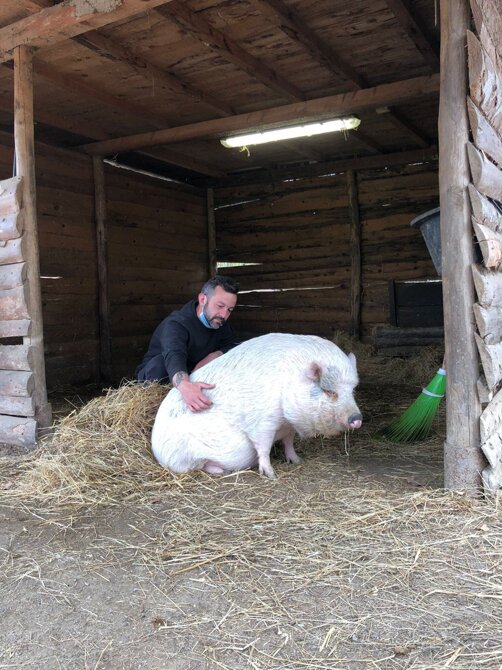 img_1574.jpeg img_1574.jpeg