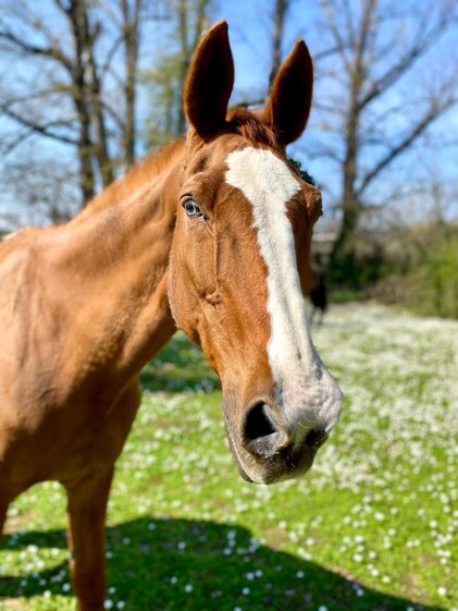 d36773c5-640f-419f-9451-b2c9a5e5772f