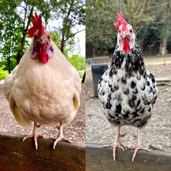 345c3a42-725e-49eb-8555-6e4fbea199f9