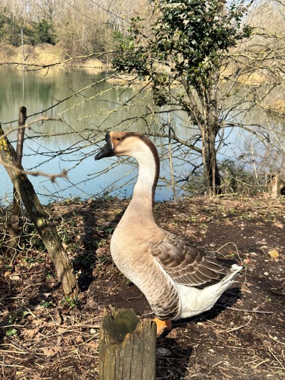 448c80d6-7812-4e60-8ee5-85c982f63b5b