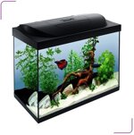 00533-acquario-tetra-starter-line-led-80-litri