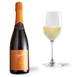 00474-vino-durello-petian-brut