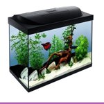 00533-acquario-tetra-starter-line-led-80-litri