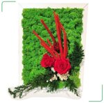 00172-jungle-moss-giardino-di-rose-35-x-25