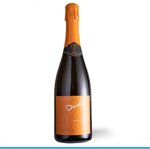 00474-vino-durello-petian-brut