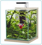 00536-acquario-zolux-jalaya-xxl-zebrano-grigio-315-litri