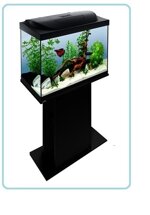 00533-acquario-tetra-starter-line-led-80-litri