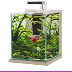 00536-acquario-zolux-jalaya-xxl-zebrano-grigio-315-litri