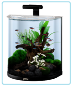 00534-acquario-tetra-aquaart-led-explorer-line-da-60-l