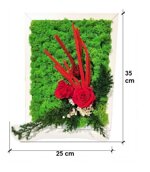 00172-jungle-moss-giardino-di-rose-35-x-25