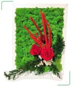 00172-jungle-moss-giardino-di-rose-35-x-25
