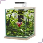 00536-acquario-zolux-jalaya-xxl-zebrano-grigio-315-litri