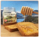 00450-miele-multiflora-500-gr