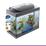 00531-acquario-tetra-starter-line-led-goldfish-30-litri
