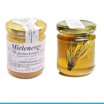 00454-miele-energy-e-pino-mugo