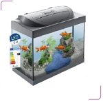 00531-acquario-tetra-starter-line-led-goldfish-30-litri
