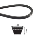 cinghia-trapezoidale-sez-c-mm22x14-c-105-c-195-pi-belt