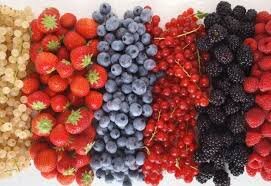 a62bc1f6f8d4a2f98b0b4bb970adbd48047e9b75 a62bc1f6f8d4a2f98b0b4bb970adbd48047e9b75