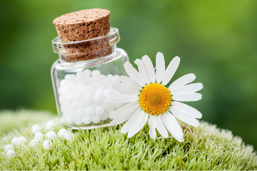 8d2b0a27-fbf7-42d6-8e81-7c6f2a2fffb0