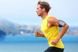 c022b235-6dad-4a21-81a5-01915373491b