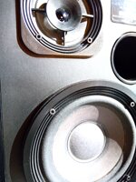 bose-interaudio-2000-xl-diffusori-year-1989-venduto