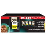 sheba-mini-filets-sel-delicata-3-box-da-40-buste-da-85g-gusti-vari