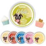 gelato-fidovet-per-cani-3-x-40g-gusti-vari-snack