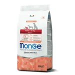 monge-25kg-adult-mini-con-salmone