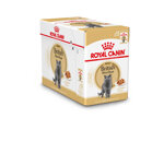 royal-canin-12x85g-buste-british-shorthair-adult