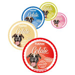 gelato-fidovet-per-cani-3-x-40g-gusti-vari-snack
