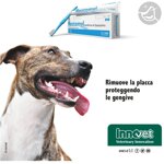 innovet-2-x-50ml-restomyl-dentifricio-spazzolino-incluso-dentifricio-per-cani-e-gatti