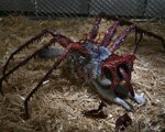 neca-the-thing-dog-creature-ultimate-deluxe-horror