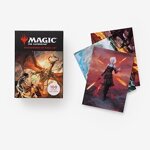 magic-the-gathering-postcard-set-masterworks-of-magic-art-postcards-cards