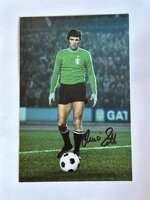dino-zoff-hand-signed-photo-6-x-4-inches