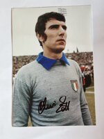 dino-zoff-hand-signed-photo-6-x-4-inches