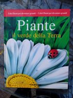 venduto-piante-il-verde-della-terra